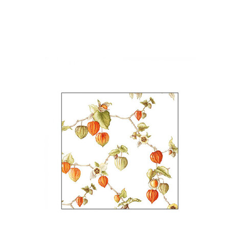 Servetten Lampion 25