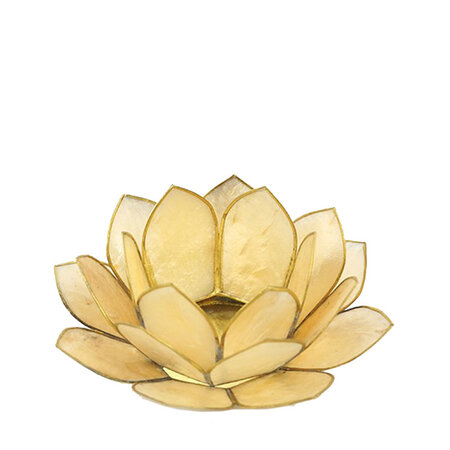 Lotus L vanille