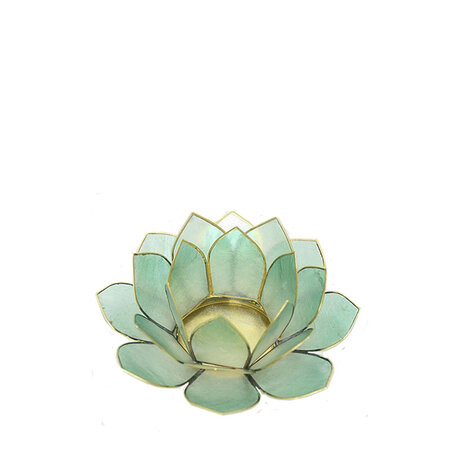 Lotus S zeegroen