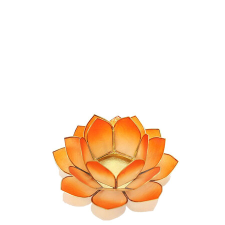 Lotus S oranje