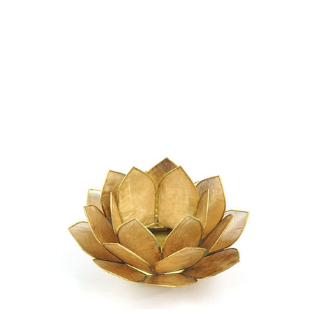 Lotus S goud