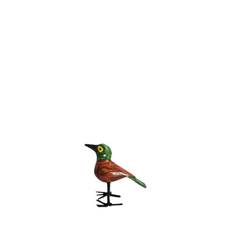 Troostvogel M groen hoofd