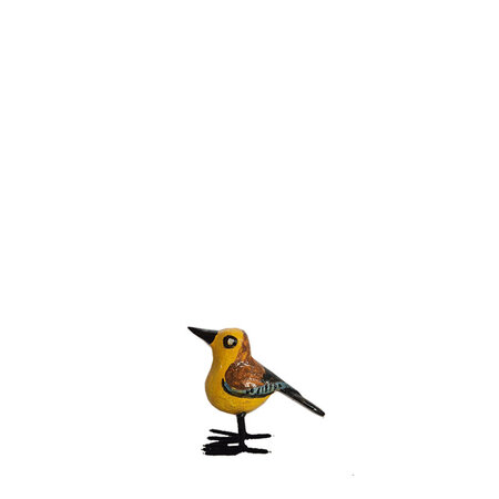 Troostvogel M bruin geel
