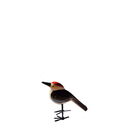 Troostvogel M zwart wit