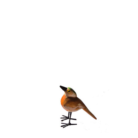 Troostvogel M groene kruin