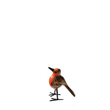 Troostvogel M bruin oranje