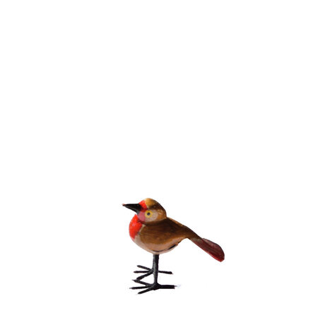 Troostvogel M bruin rood