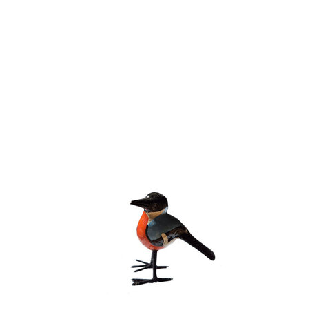 Troostvogel M blauw zwart