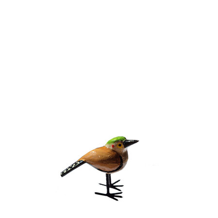 Troostvogel M gespikkelde staart