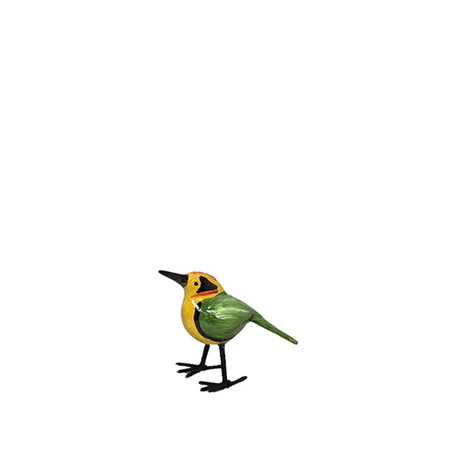 Troostvogel M groen geel