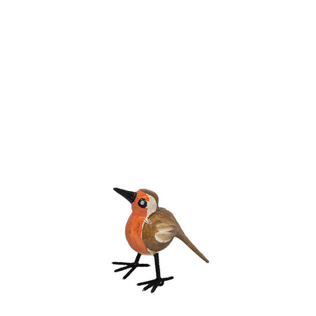 Troostvogel M zwarte snavel