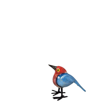 Troostvogel M blauw rood