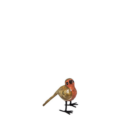 Troostvogel M bruin oranje