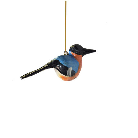 Troostvogel hangend blauw zwart