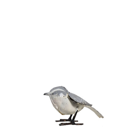 Drieteen strandloper