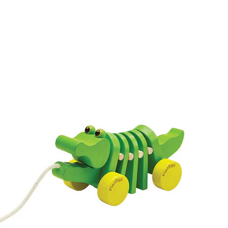 Dancing alligator