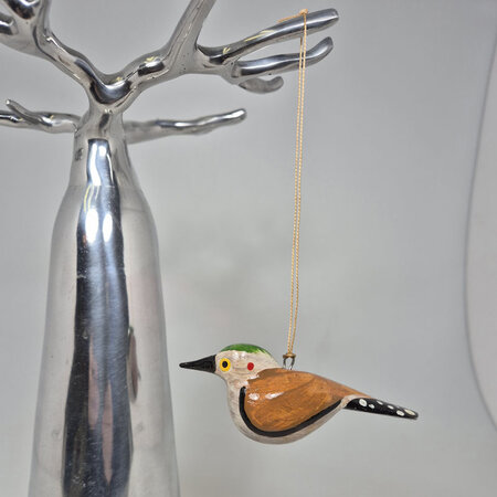 Troostvogel hangend groen hoofd