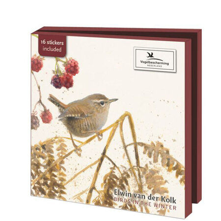 Birds in the winter