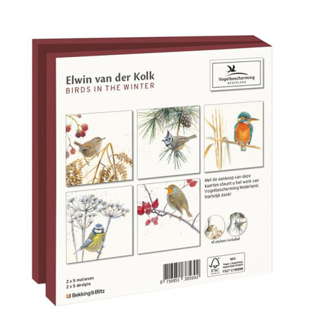Birds in the winter