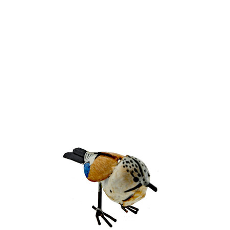 Vlaamse gaai scrapmetal