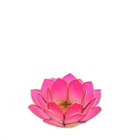 Lotus S oud roze