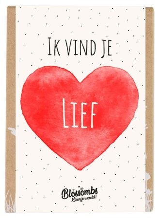 Ik vind je lief mini