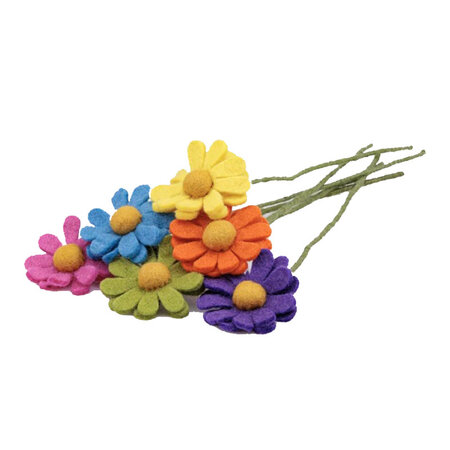 Margriet fuchsia vilt