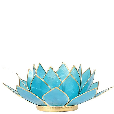 Lotus M blauw