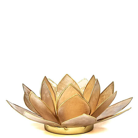 Lotus M smoked