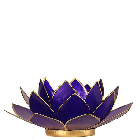 Lotus M indigo