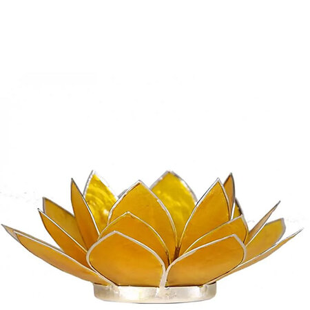 Lotus M geel zilverrand