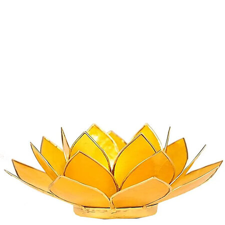 Lotus M geel goudrand
