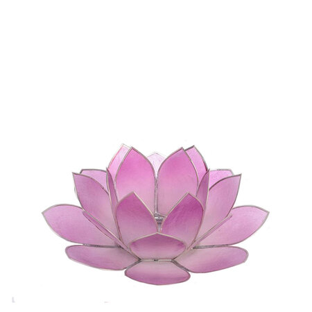 Lotus L lila zilveren rand