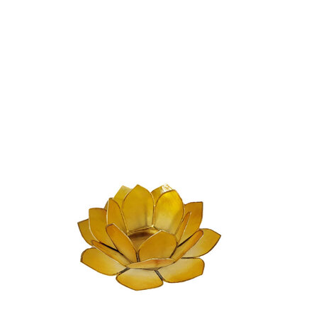 Lotus S geel
