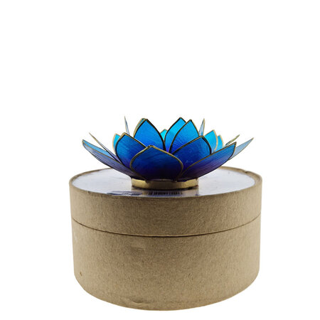 Lotus M blauw