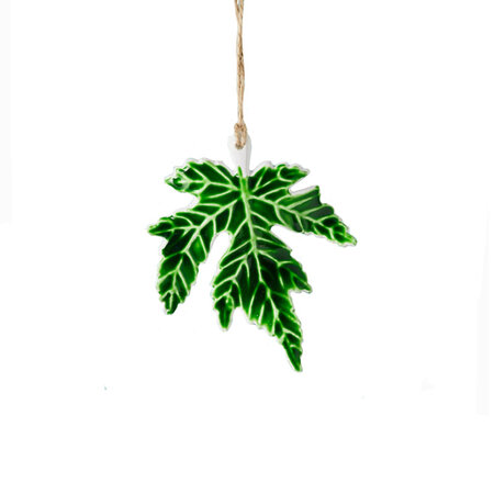 Boomblad email monstera