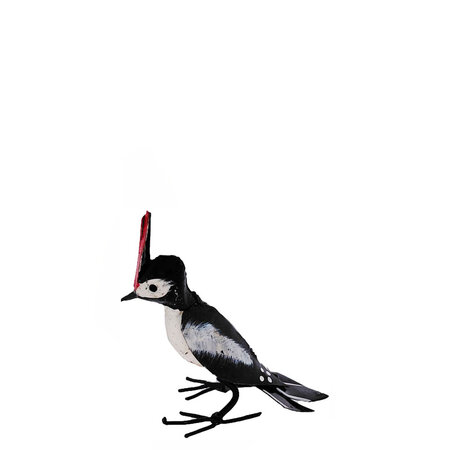 Bonte specht scrapmetal S