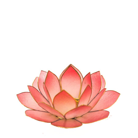 Lotus L roze