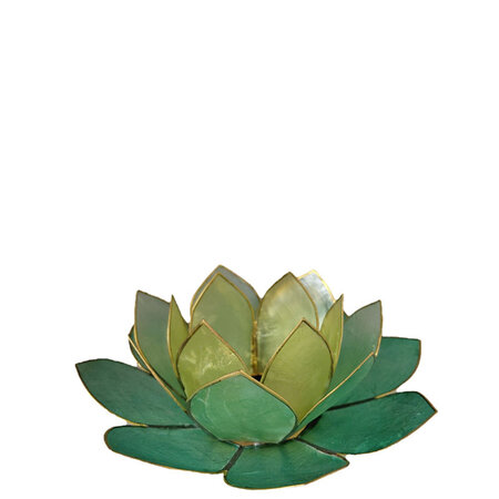 Lotus L multi blauwgroen