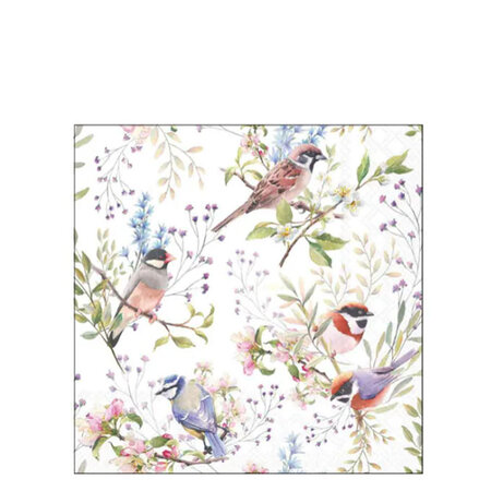 Servetten Busy birds 33