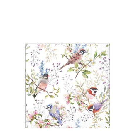 Servetten Busy birds 25
