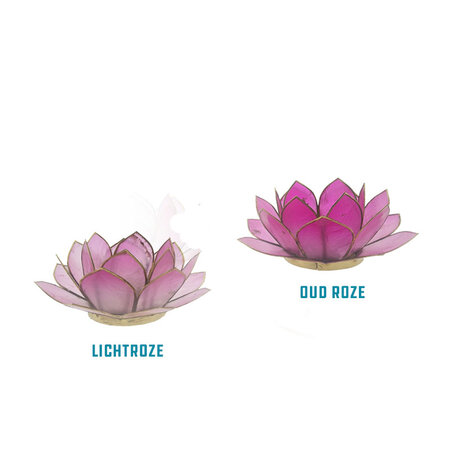 Lotus S oud roze