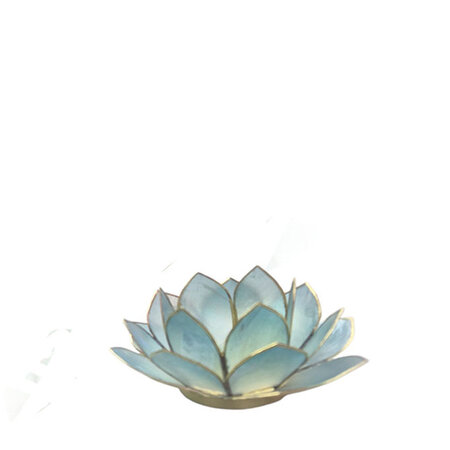 Lotus S lichtblauw