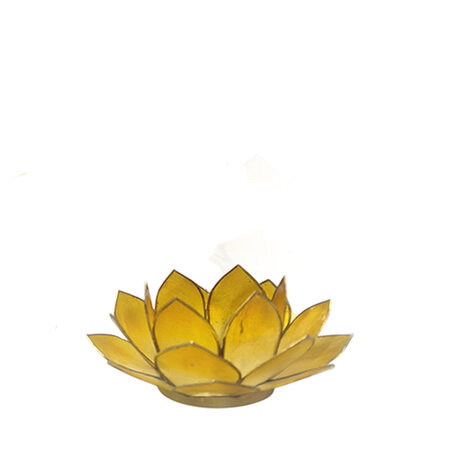 Lotus S geel