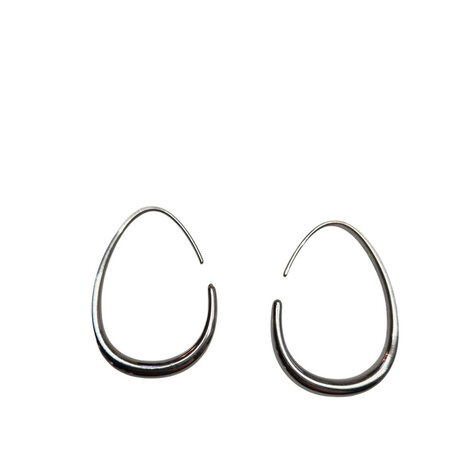 Oorbellen eirond RVS