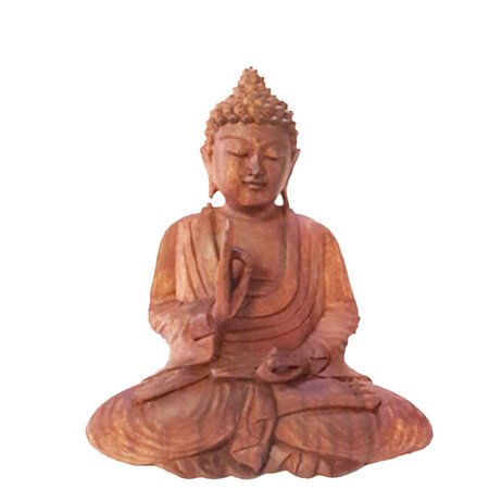 Boeddha Vitarka mudra