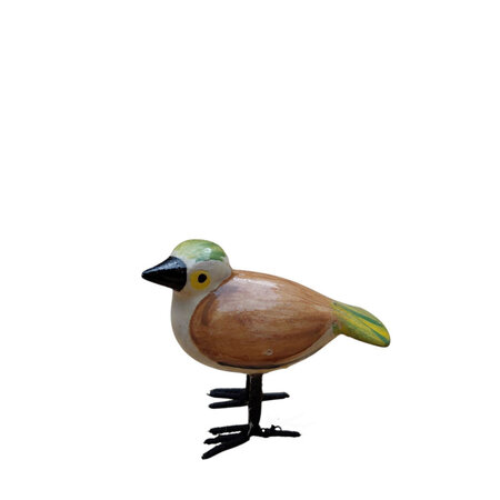 Troostvogel bruin groen