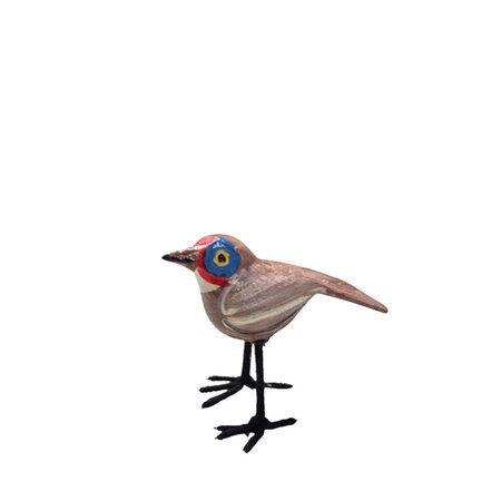 Troostvogel blauw oog