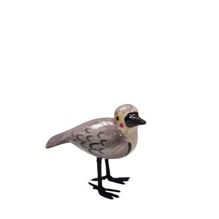 Troostvogel grijze vleugels