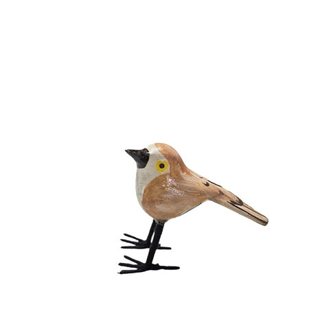 Troostvogel  beige